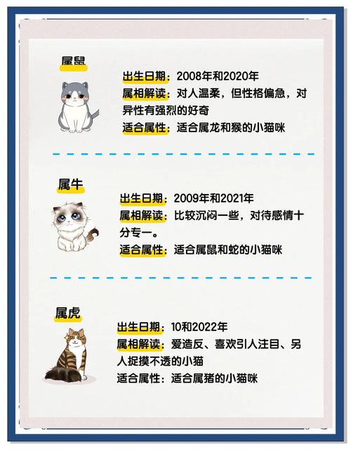 遇到什么生肖动物代表命不保，野猫预示着哪个生肖？