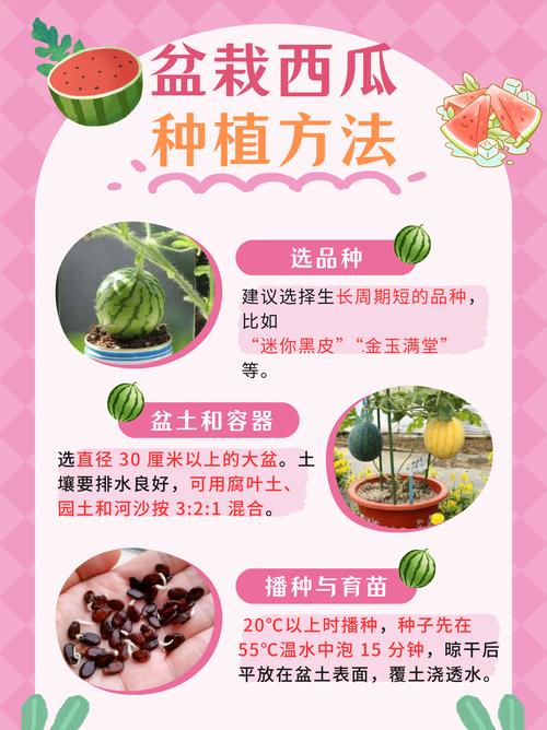 家里种西瓜风水会怎样？对家居运势有影响吗？