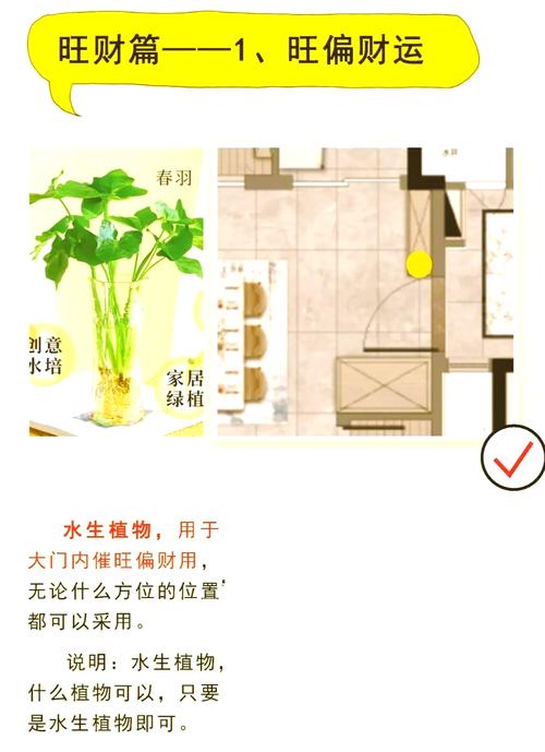 如何快速掌握一分钟堪懂家中风水的技巧？
