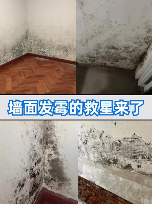 墙壁潮湿发霉会对家居风水产生哪些不良影响？