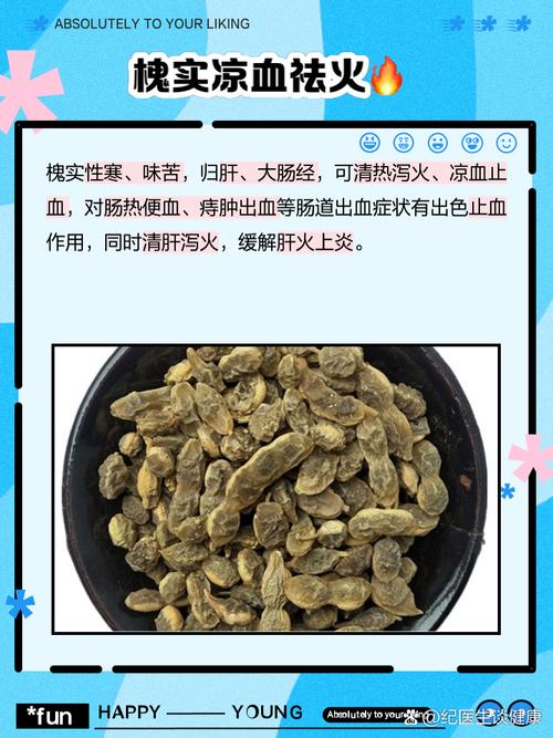 国槐真的具有风水功效，这是否意味着它对家居环境有特殊影响呢？