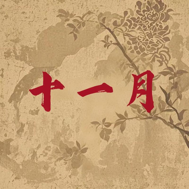 阴历11月饿木命的人出生月是哪个月份？