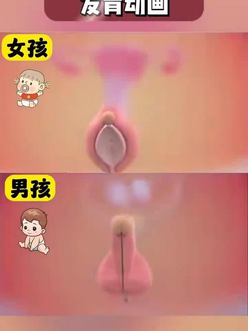 阴生子的人命运如何？阴生子究竟是什么意思？