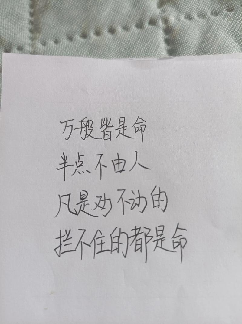 路人的命也是命，为何不能同等对待？