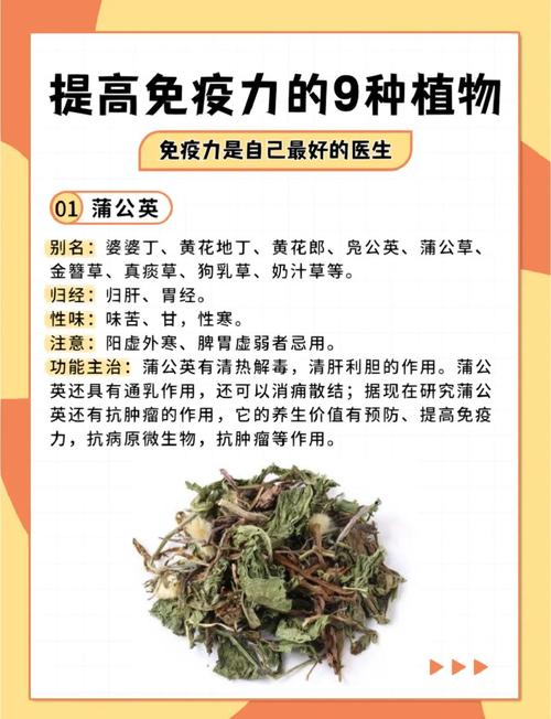 有哪些中药材可依增强睡眠、提高男性免疫力？