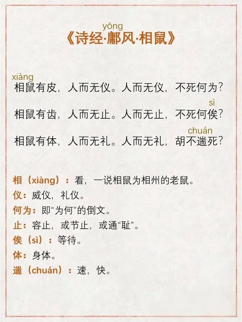 子时出生的女老鼠命运如何，？
