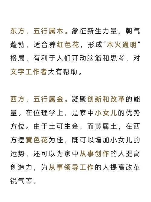 摆花位置是否真的有讲究风水的说法呢？