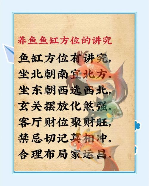 家里小鱼缸摆放风水有何讲究？