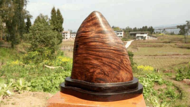 阴沉木对风水有影响吗？女性居住环境会因此改变吗？