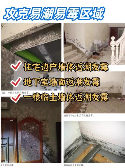 墙壁潮湿发霉会对家居风水产生哪些不良影响？