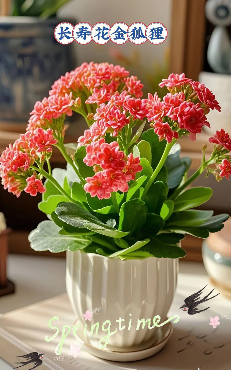 什么样的命相适合养什么花？养花高手通常拥有哪种命格？