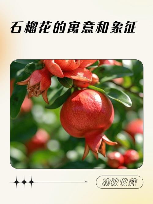 石榴木命的人出生在哪些月份较为吉利？