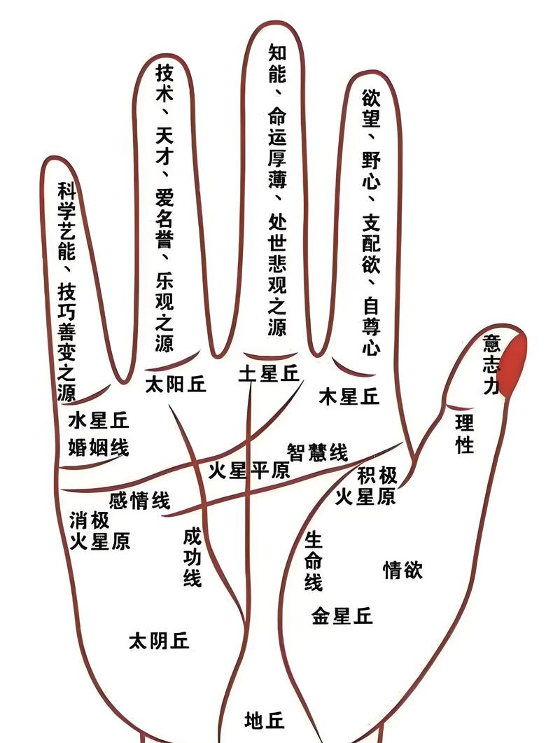 如何通过手掌手纹判断自己的命格和命运走向？