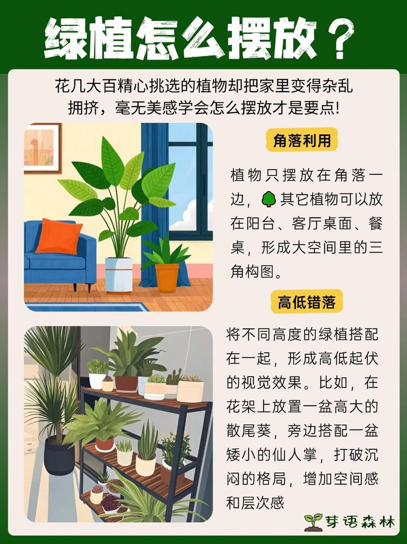 家里摆放破损的花盆会对家居风水产生怎样的影响呢？
