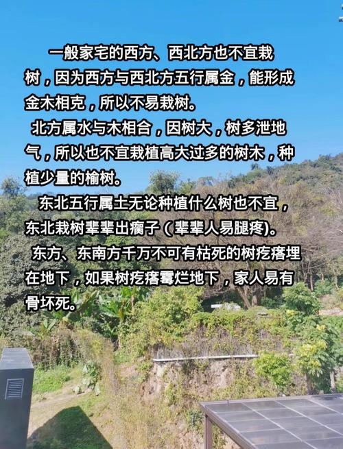 在风水十八弯处种植树木会对风水产生怎样的影响？