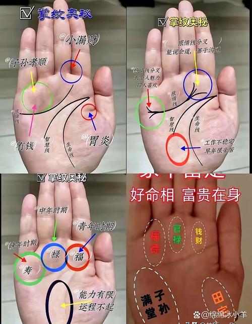 手相中劳碌命特征：事业线杂乱、感情线短、生命线曲折；享福命特征：事业线清晰、感情线长、生命线平稳。如何通过手相为老来享福？