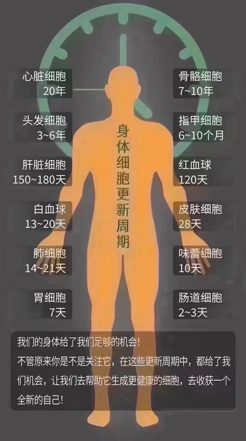 减肥是否会影响或破坏个人的风水运势？