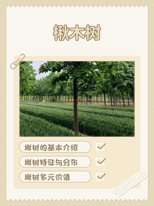 2026年4月10日农历二月二十三日适合种植树木吗？