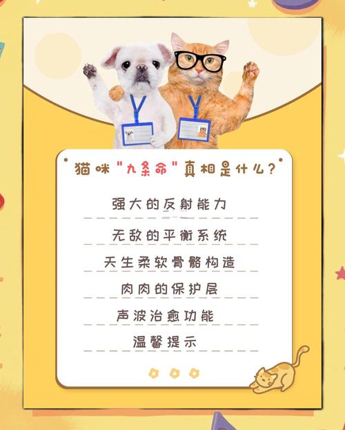 猫咪的九条命究竟都是哪九种命？