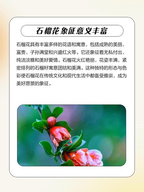 石榴木命的人出生在哪些月份较为吉利？