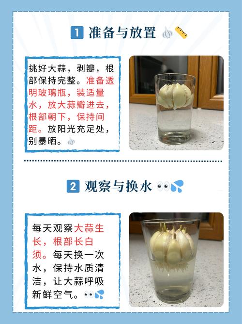 家里种大蒜对风水有影响吗？