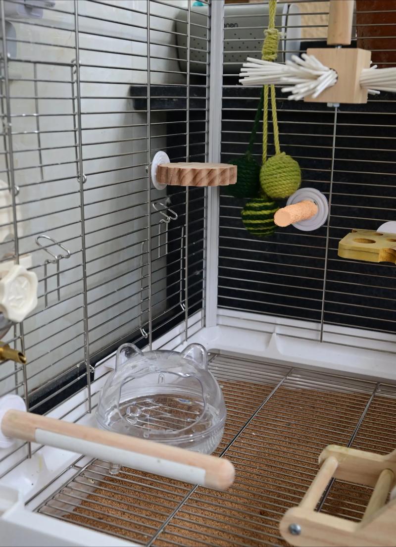 家里摆放鸟笼会对风水产生怎样的影响呢？