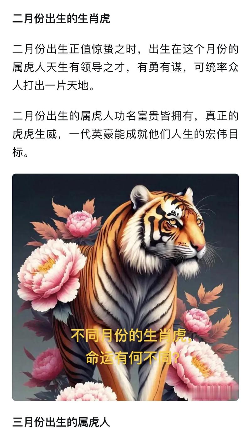 虎年子时出生的女人命运究竟有何不同，她的命格是否真的与众不同？
