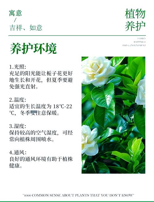 种植栀子花在大门前会对风水产生怎样的影响呢？