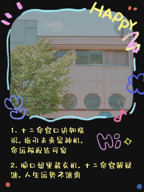 命king经常说什么？命king的中文谐音里藏着什么秘密？