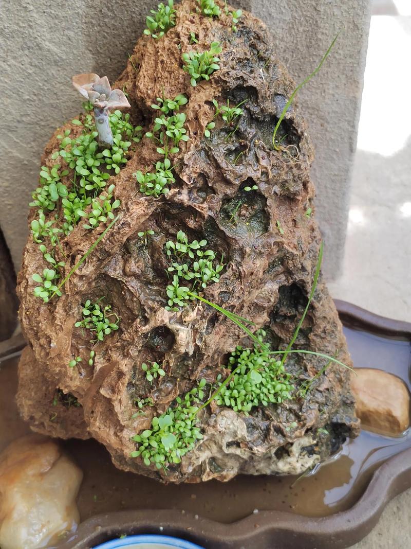 上水石的风水作用有哪些，具体体现在哪些方面？