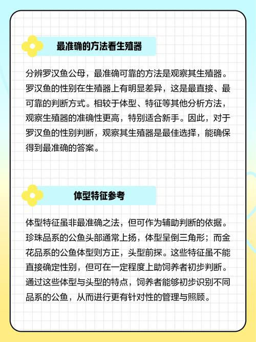 罗汉鱼与风水之间是否存在某种神秘的联系呢？