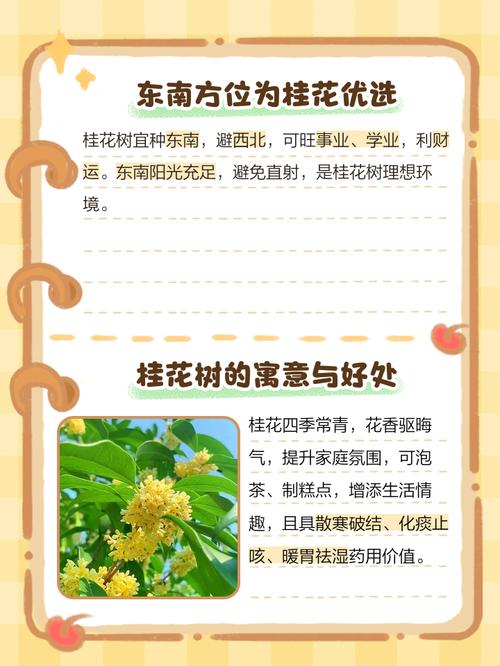 桂花适合种植在这里吗？这地方的风水对桂花好吗？