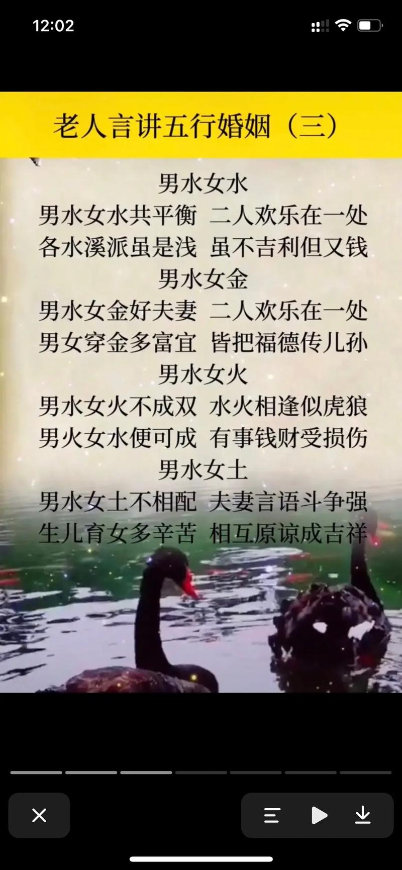 夫妻两人金命，他们的金命孩子是什么命最好？