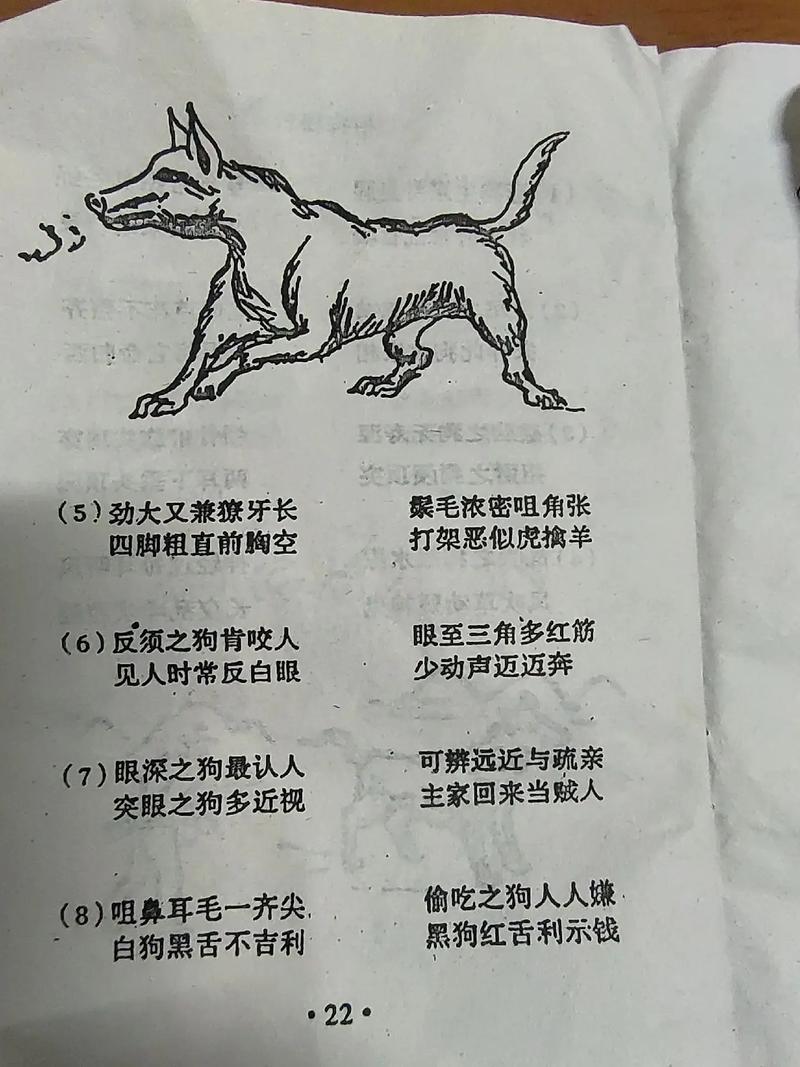 狗是什么命卦象？地卜是什么意思？图解？