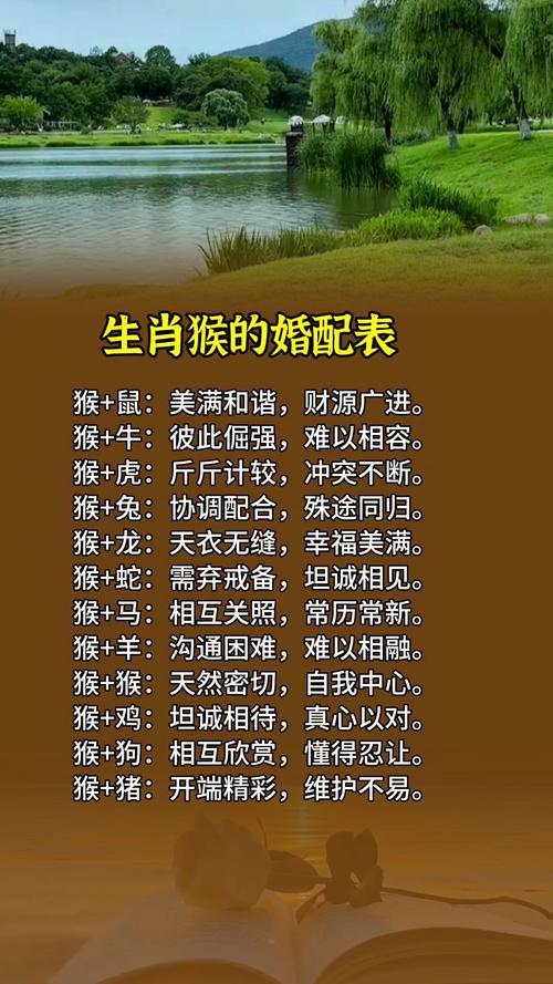 属猴的金命与哪种命相配蕞为和谐呢？