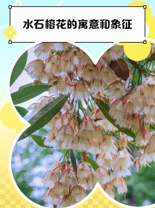 榕花树的风水功效有哪些具体表现？