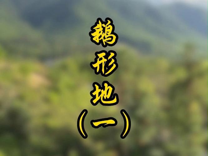 风水大师能否用鹅来化解禁住家宅的大地煞气？