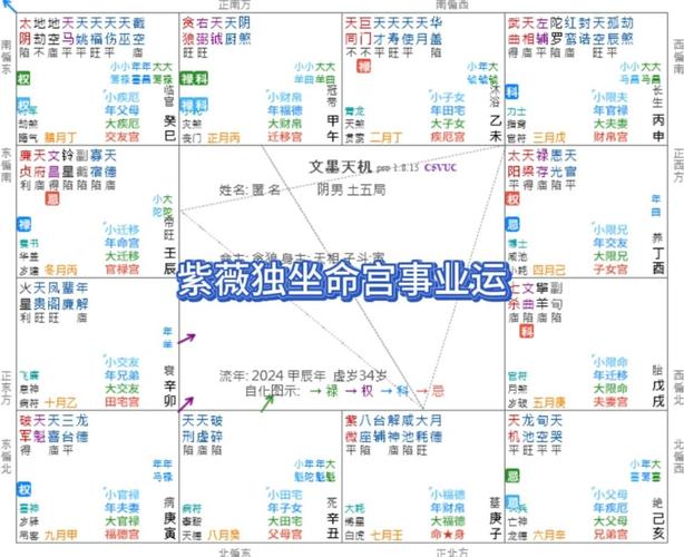 紫微命盘里哪些配置适合经商炒股，能带来财运？