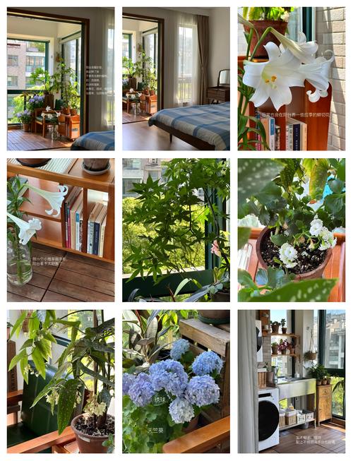 卧室摆放花草风水如何？对卧室风水有影响吗？