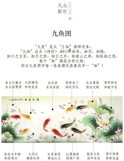 真有鲤鱼撞棺是风水吉兆吗？这背后有什么说法？