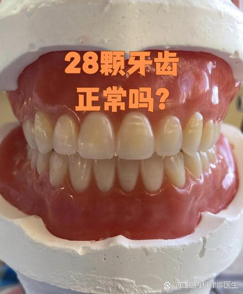 28颗牙齿男生命运如何？这是正常的牙齿数量吗？