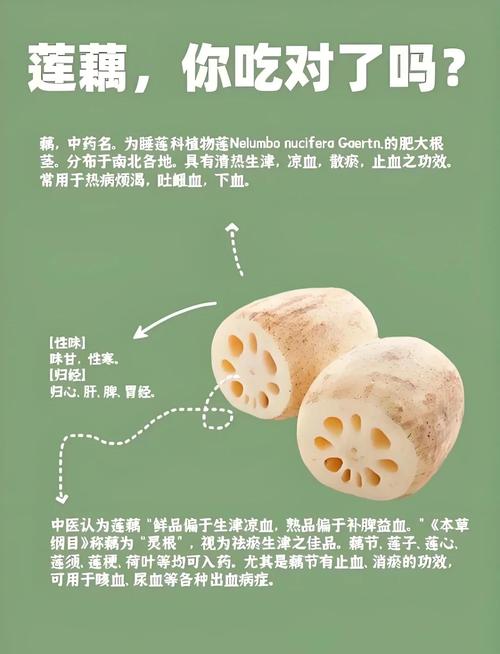 莲藕对风水有影响吗？如何利用莲藕改善家居风水？