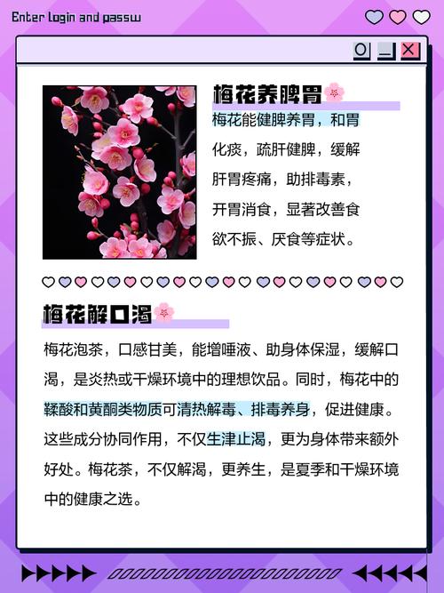 梅花家养对家居风水有怎样的影响和作用？