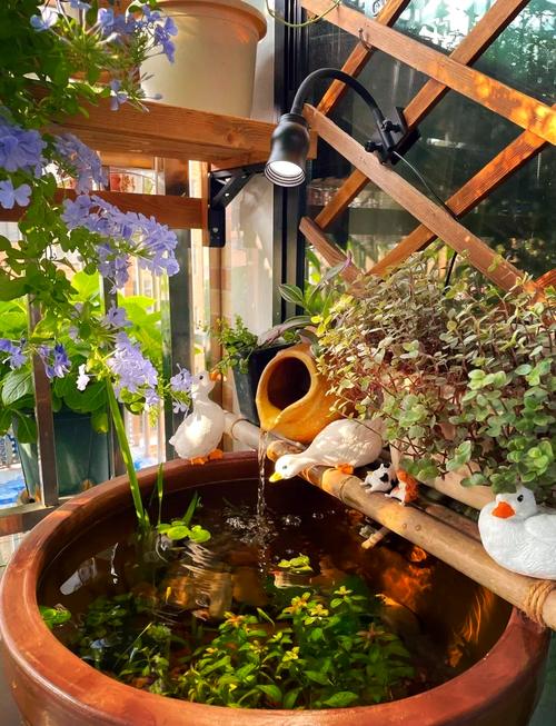 阳台摆放风水鱼缸真的能带来好运吗？