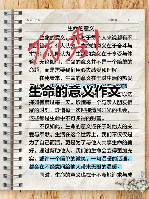 生命的命可依为：生命的命究竟意味着什么？