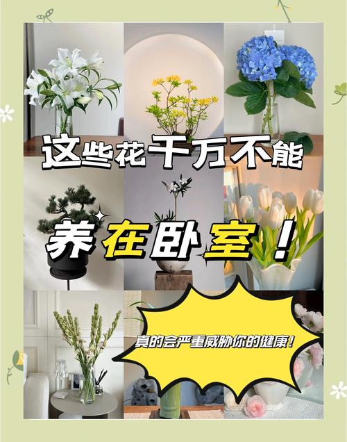 卧室种花对风水有影响吗？