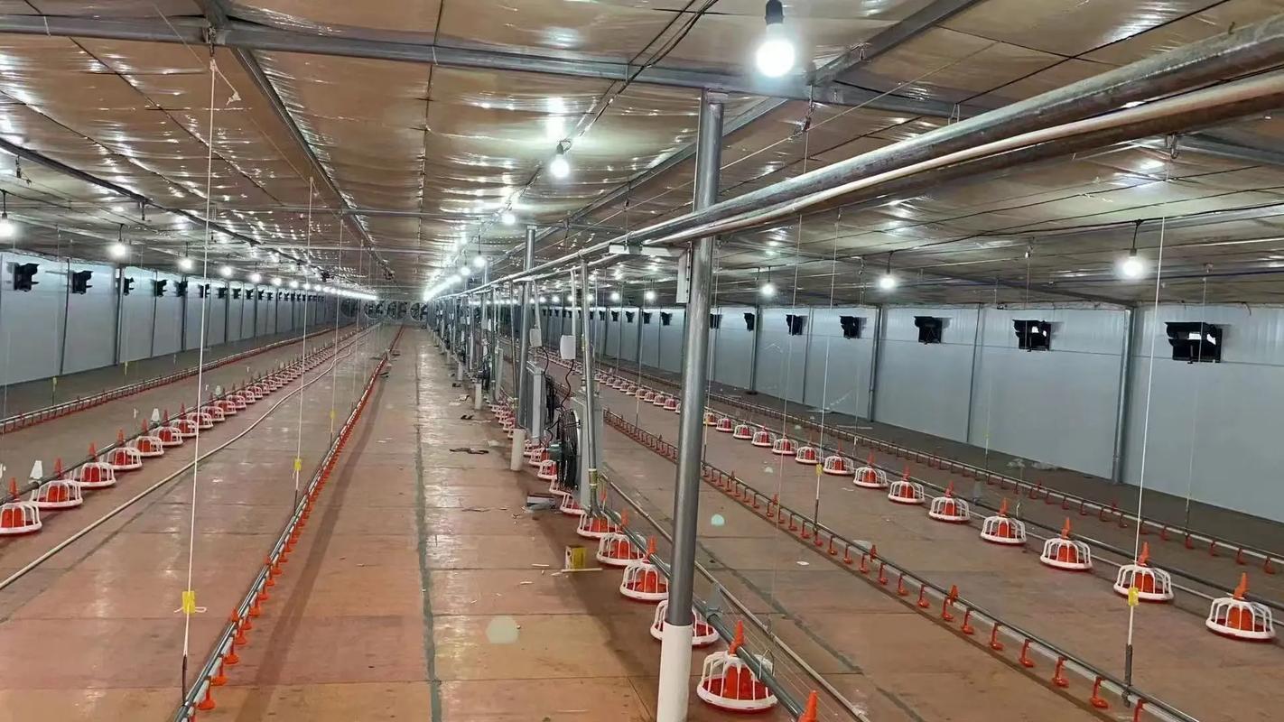 房屋风水对牧场养殖有怎样的影响呢？