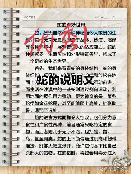 末日之蛇的来历究竟有何秘密？