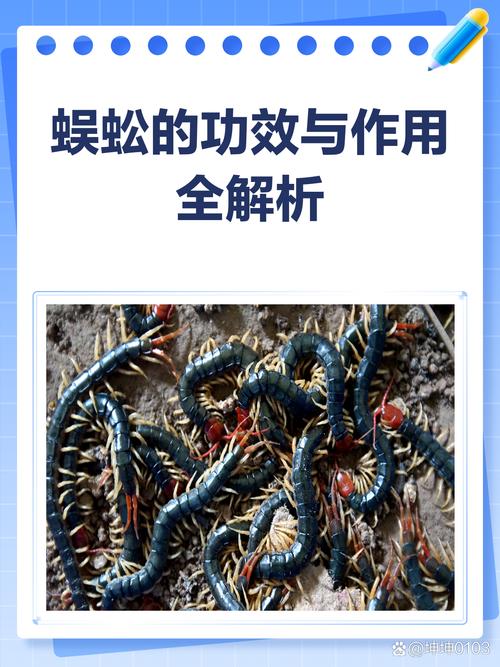 动物蜈蚣对家居风水有何具体影响或作用？