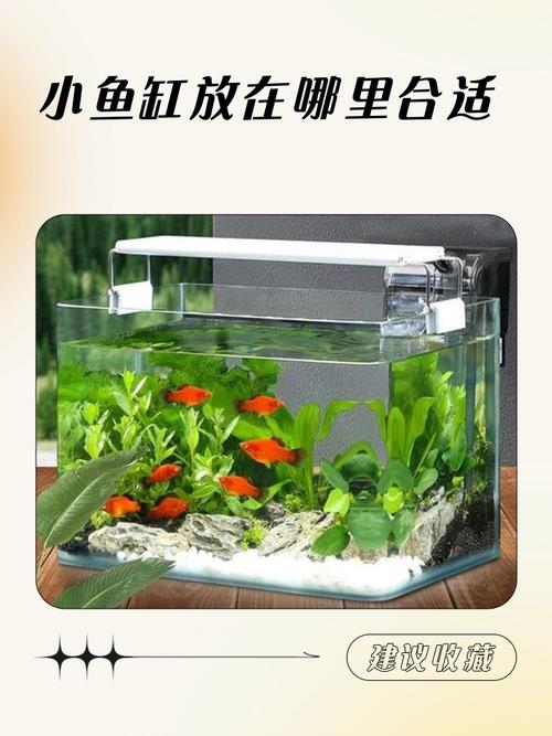 小鱼缸摆放位置是否符合风水讲究，有什么讲究和注意事项？